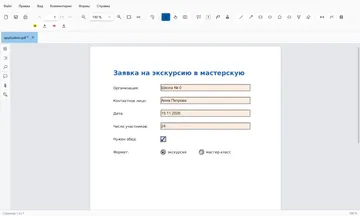 Заполненная форма заявки: текстовые поля, отмеченный флажок и выбранный переключатель